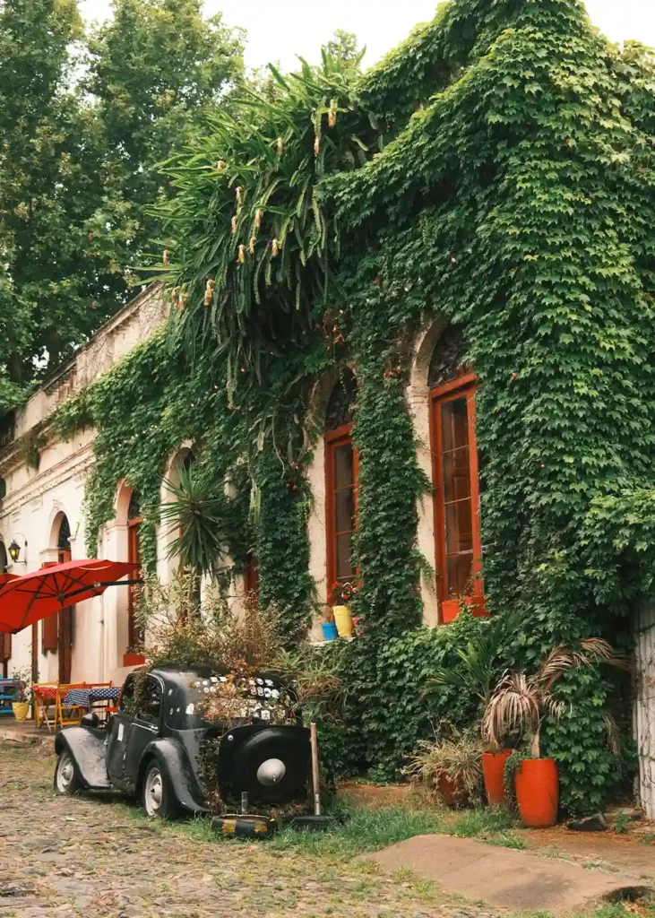 maison ensevelie de lierre