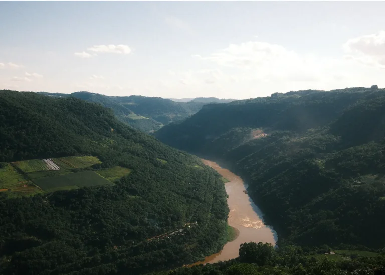 Paysage vert