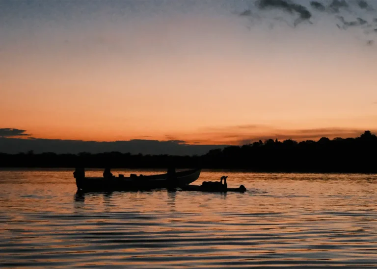 Sunset tardif