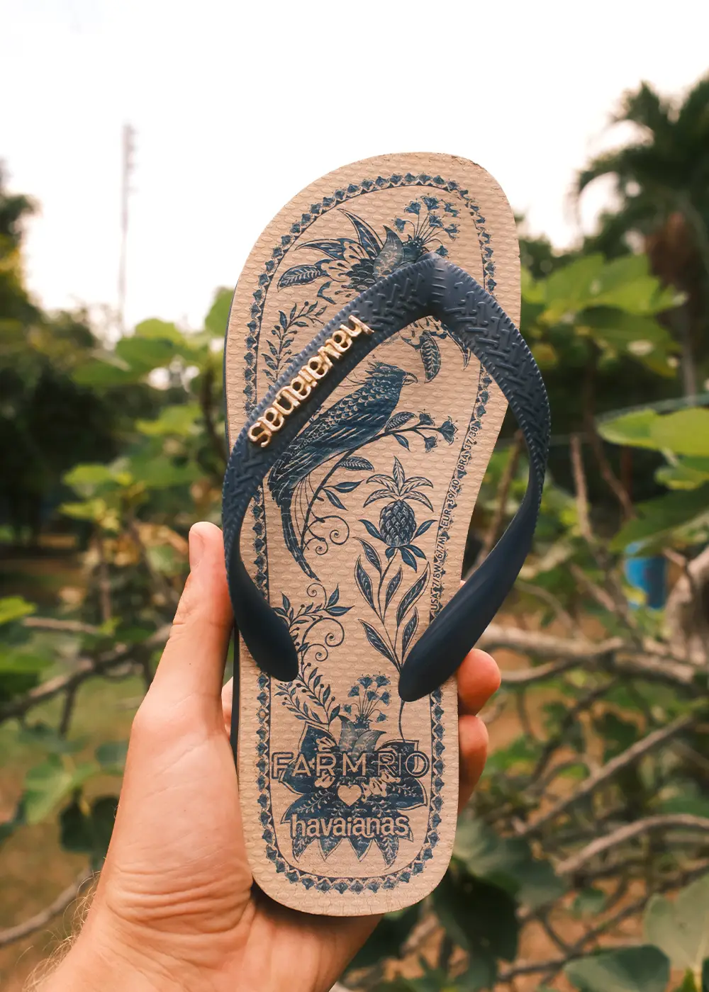 Havaianas