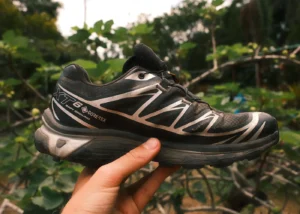 Salomon