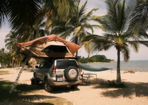 Celso sous les cocotiers