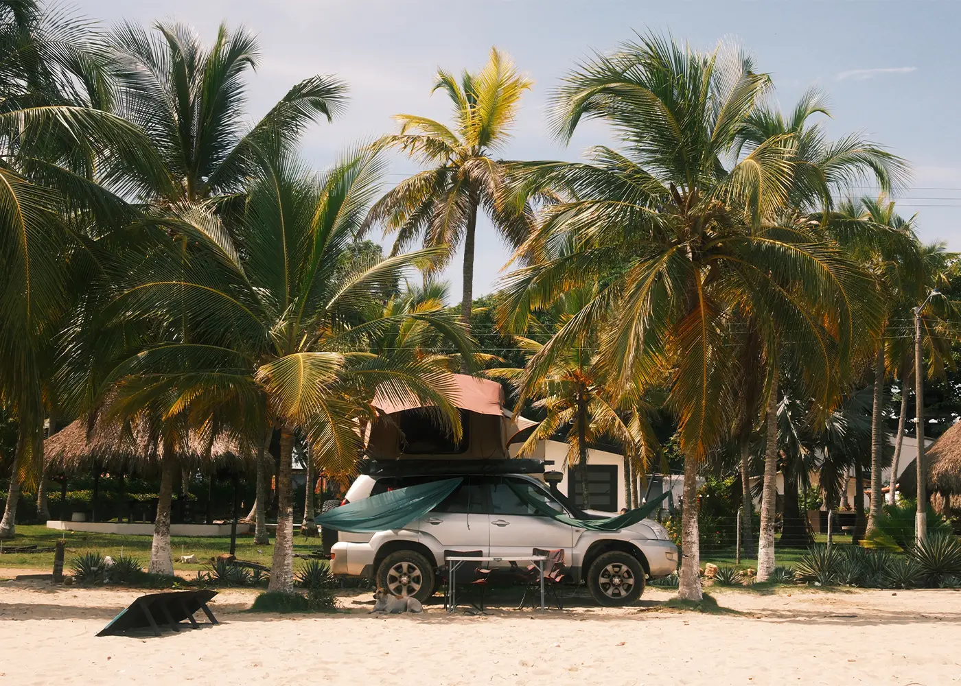 Le spot de la semaine