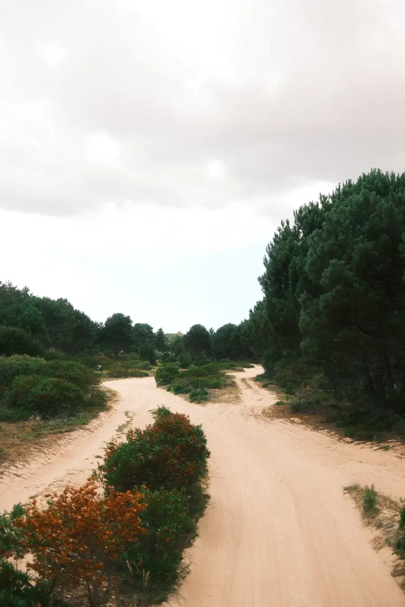 Piste de sable Cabo Polonio